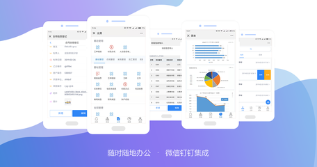 最新版Workfine 企業(yè)辦公系統(tǒng)快速定制開發(fā)與應(yīng)用平臺V2.4.1破解